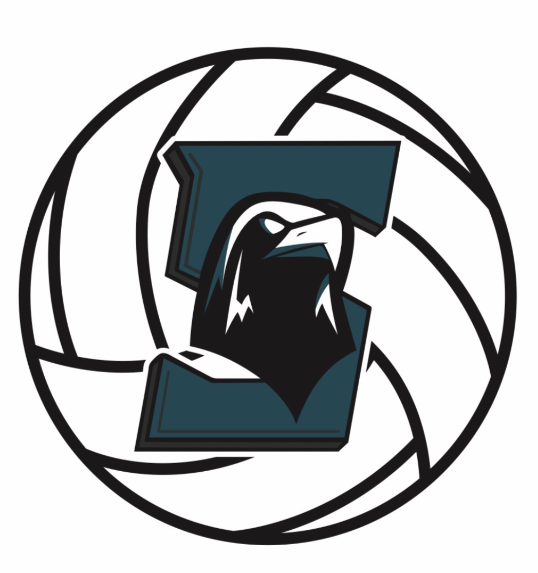 A stylized volleyball featuring a bold letter "S" with a bird of prey head in the center, using dark teal and black colors.